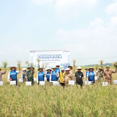 Pertamina dan Pemkab Blora Gelar Panen Raya Padi