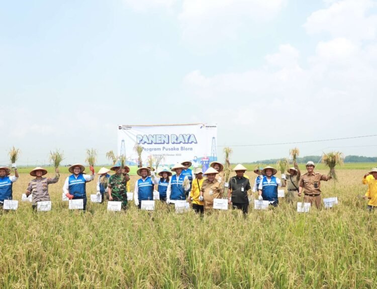 Pertamina dan Pemkab Blora Gelar Panen Raya Padi