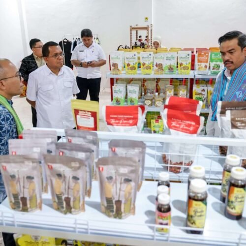 Menteri UMKM Apresiasi Kehadiran NTT Mart sebagai Penggerak Produk Lokal