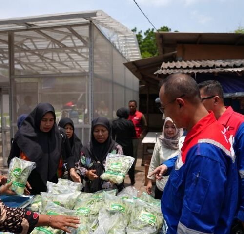 Pertamina Perkuat Ketahanan Pangan dan Energi di Desa Energi Berdikari Lebak Gede Banten